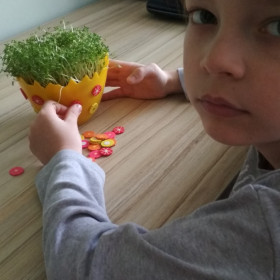 OSKAR