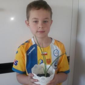 WIKTOR